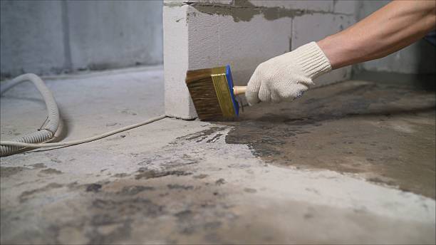 24/7 Emergency Exterior Waterproofing experts in Bellevue, WI